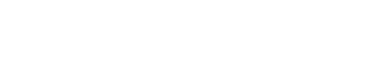 StorHy logo en blanco