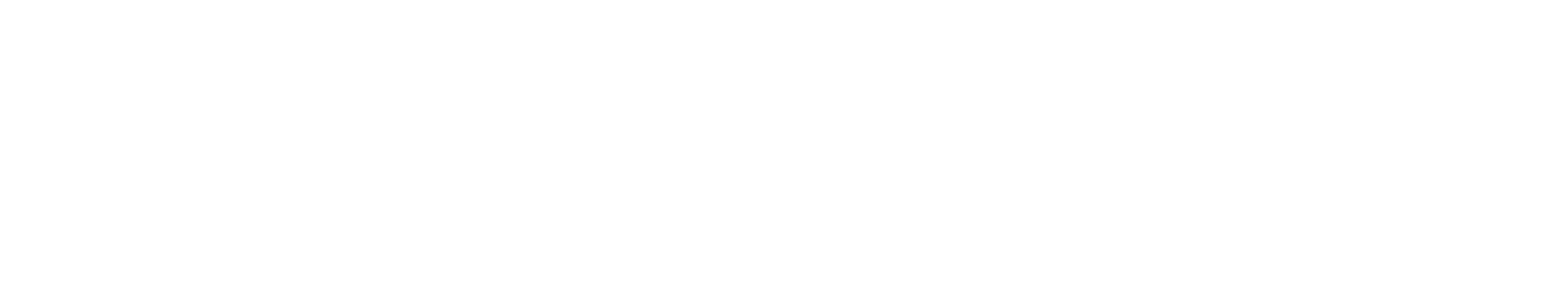 StorHy logo en blanco